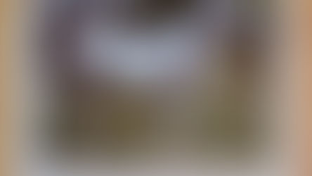 O JUMENTO FANFARRÃO