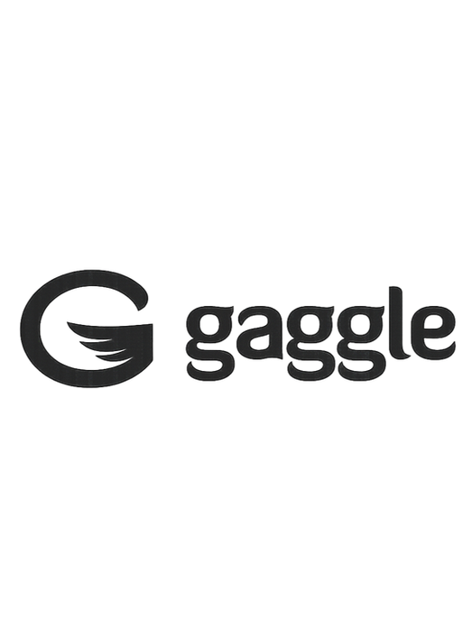 Gaggle logo – K–12 student safety, digital monitoring, and education technology company