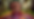 Designer (13).png