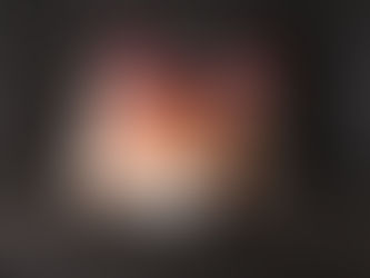 Consejos para proteger a tu perro o gato de los fuegos artificiales