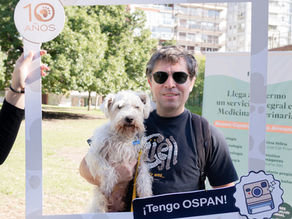 Mascota en consulta veterinaria recibiendo atención, ilustrando la diferencia entre un seguro y una obra social para mascotas.