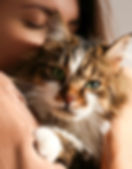 Un gato ariiba de una mujer