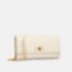Thumbnail: Elisabetta Franchi Clutch with shoulder strap and logo plaque