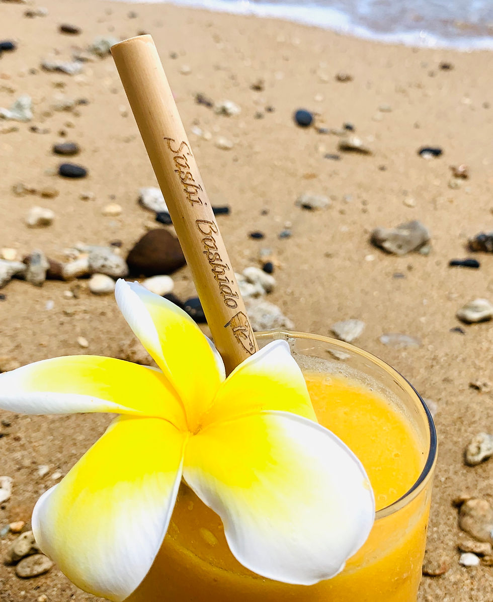 Bamboo Straw,Kauai,Hawaii,Custom Engrave