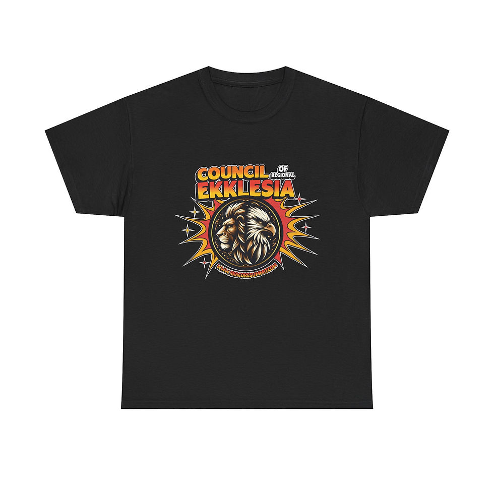 Thumbnail: Unisex Heavy Cotton Tee- "AKA-CORE-SUMMIT-2"