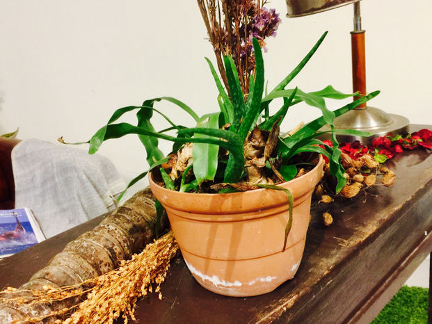 鞘拾天地《原住民生活創意特展》