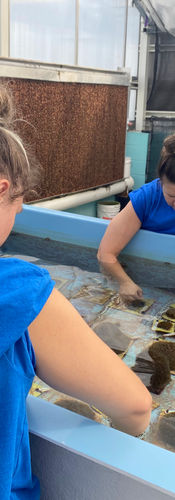 CAP Participants and Trainers work side by side (The Florida Aquarium)