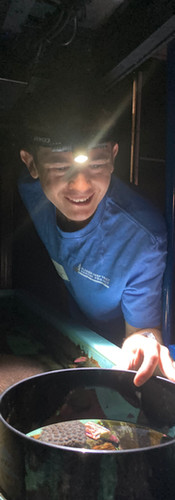 CAP Participant, Joe Unsworth (Uni. of Miami) at the Georgia Aquarium ( 2024-2025)