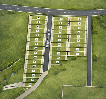 lay out photo.png
