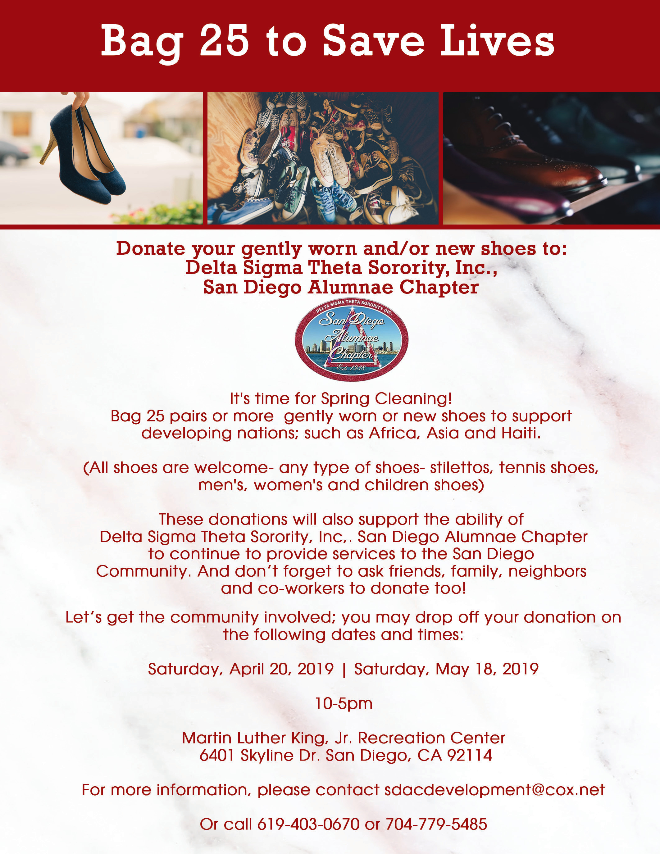 delta sigma theta shoe bag