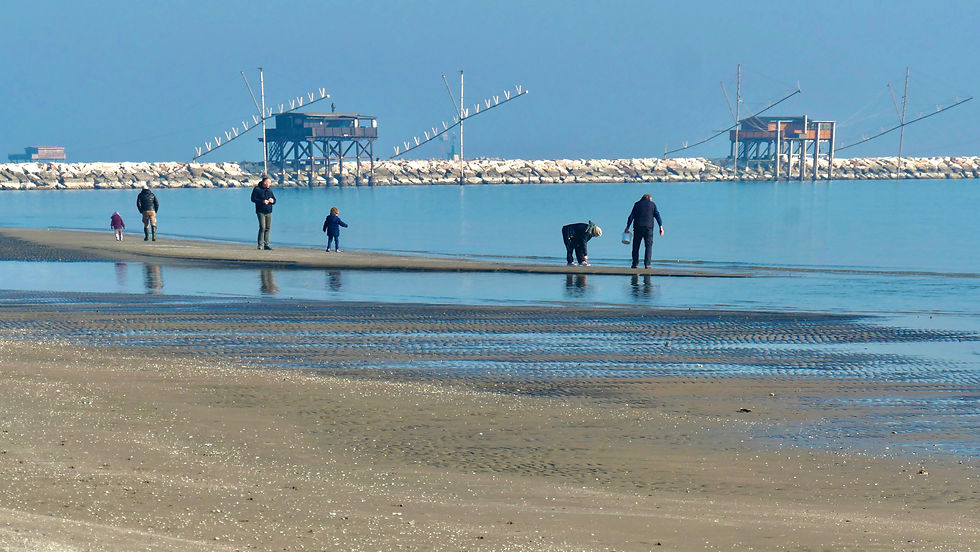 people looking for clams on Sottomarina beach in winter, Chioggia