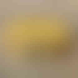 Il Boschetto di Vignole