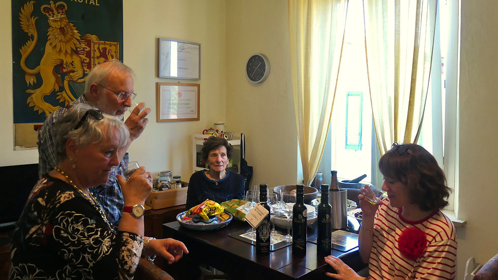 Decimi olive oil tasting in Lucca