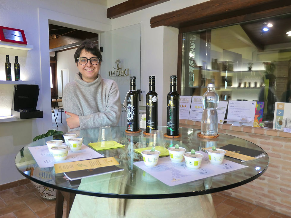 Decimi olive oil tasting