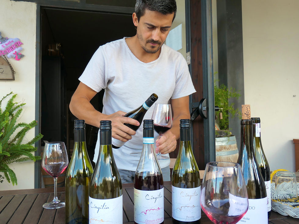 Fabio di Donato at his winery in Abruzzo conducting a wine tasting