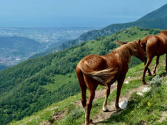 Easy Hikes around Lucca: Part 1