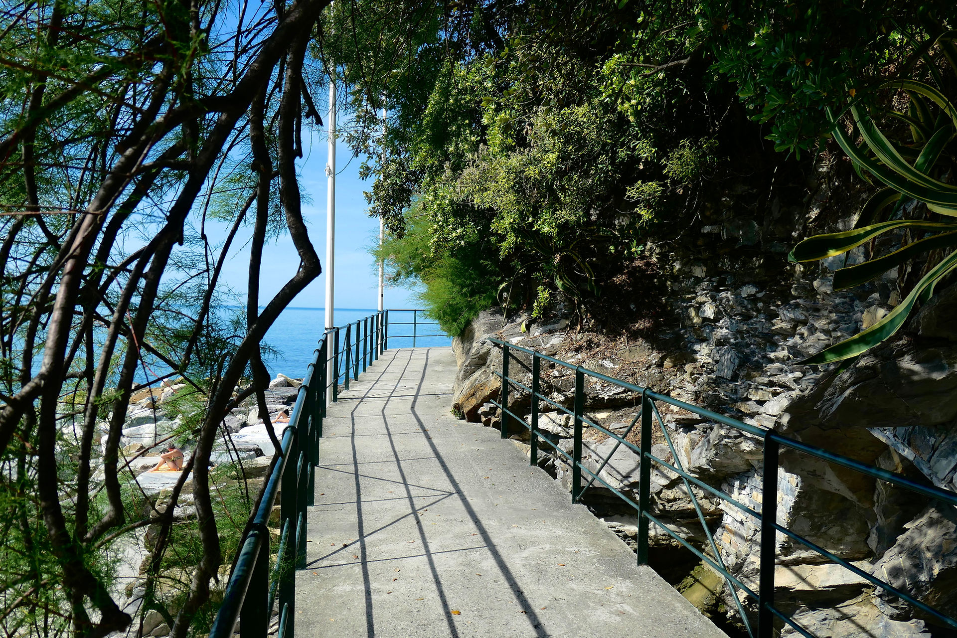 path along the rocks above the sea in Zoagli
