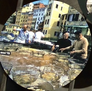 fish festival in camogli
