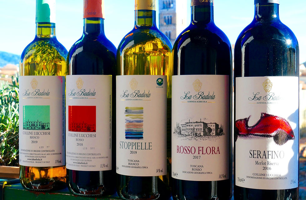 La Badiola wines in Lucca