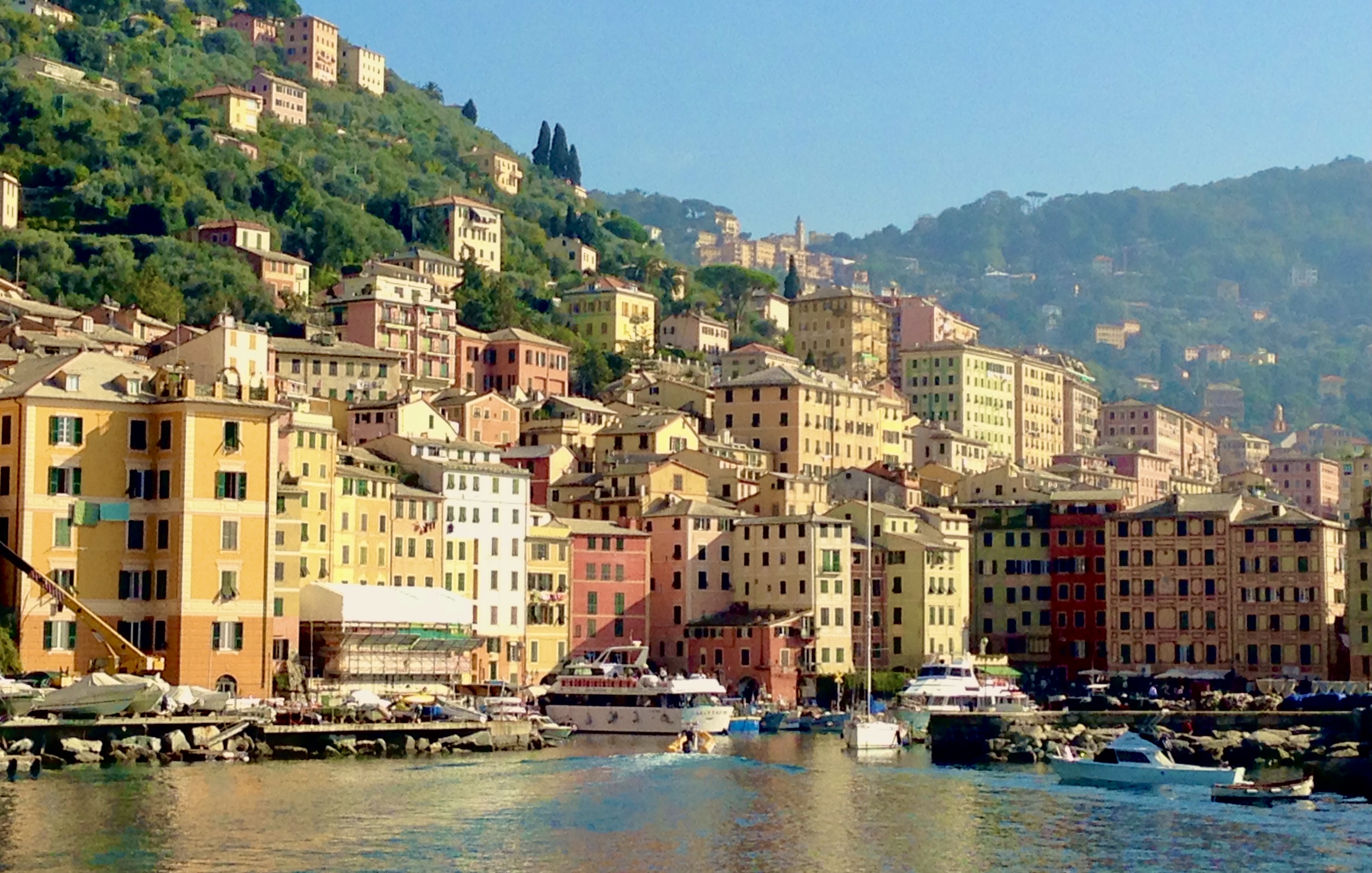 Camogli panoramic view