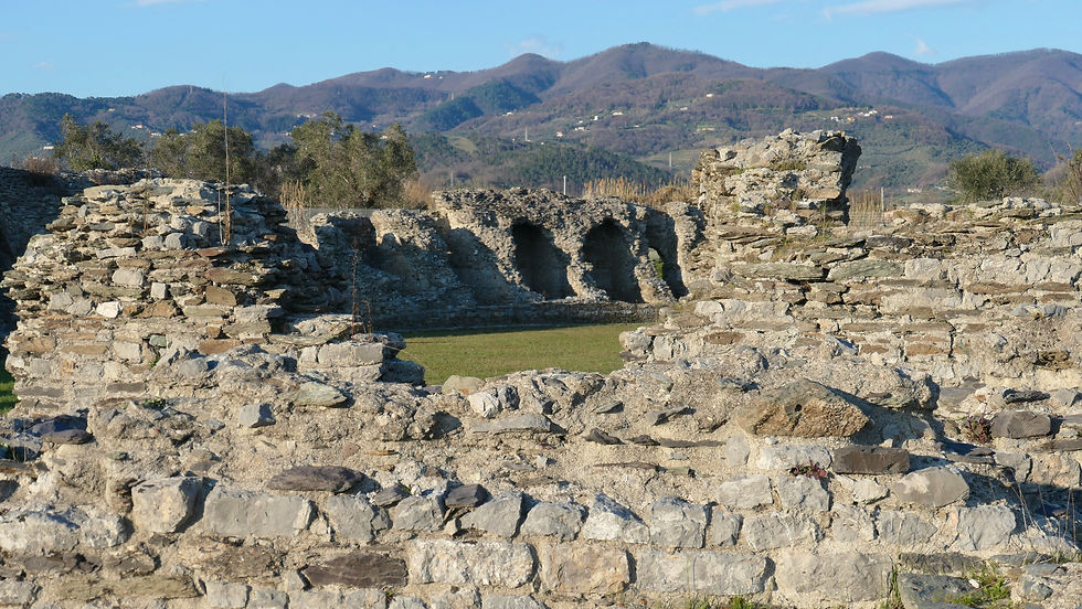 The Roman Amphitheater at Luni