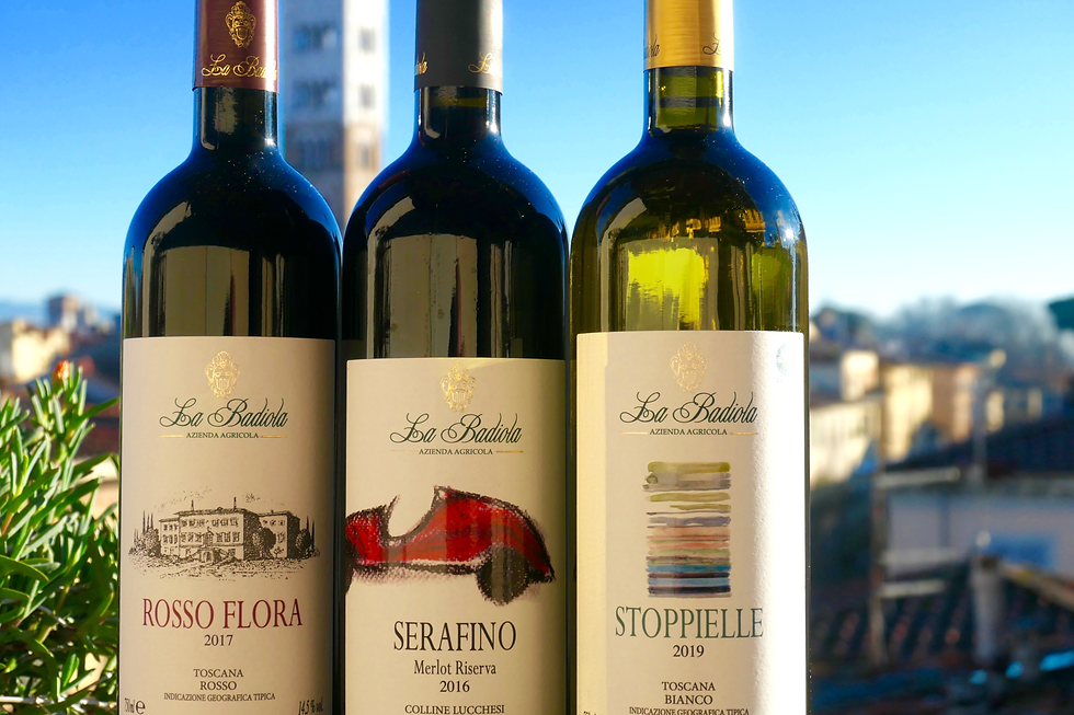 La Badiola wines in Lucca