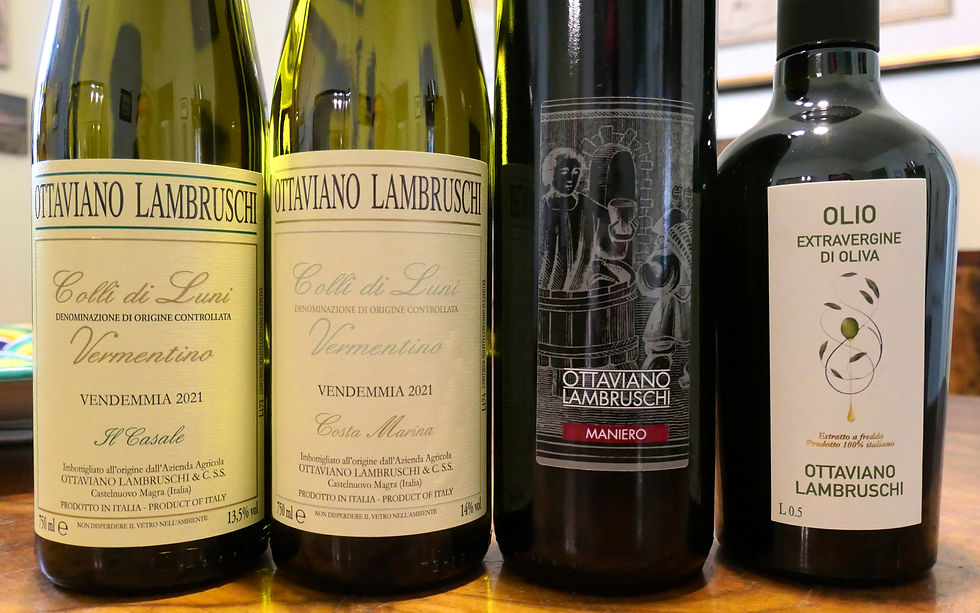 Ottaviano Lambruschi wines