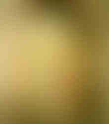 Botero gates of hell pietrasanta