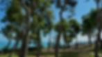 The view from Grottammare alta