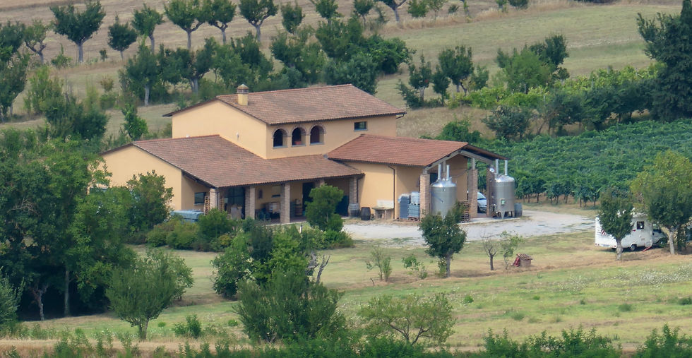 The Carlo Tanganelli winery