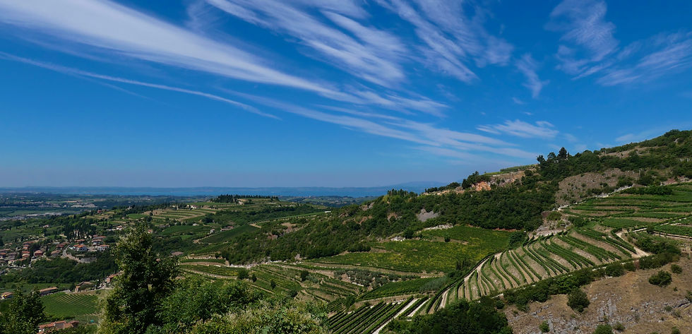 Looking west from San Giorgio di Valpolicella towards Lago di Garda