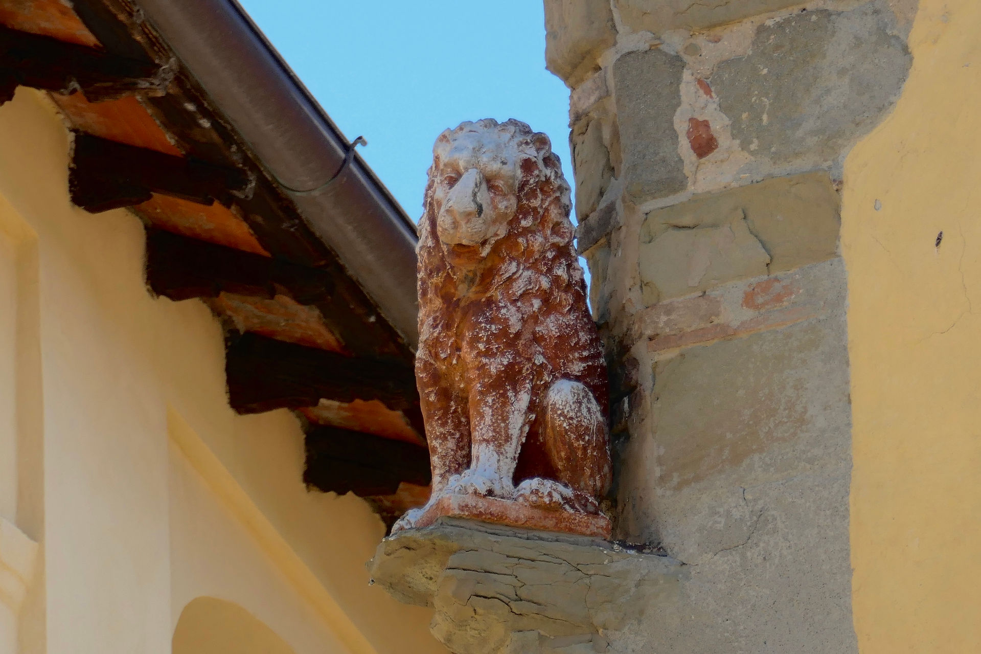 marzocco lion anghiari
