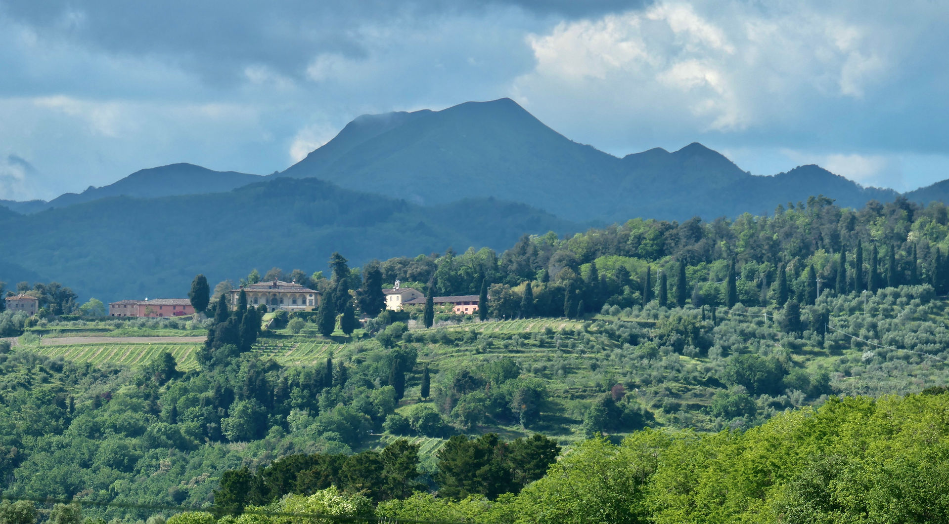 the hills above Lucca