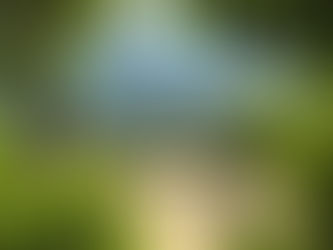 Il Baciarino, Vetulonia