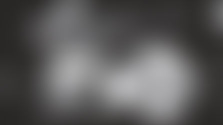 Excellent Cadavers: Book Review