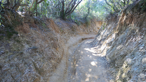 via dei cavalleggeri trail