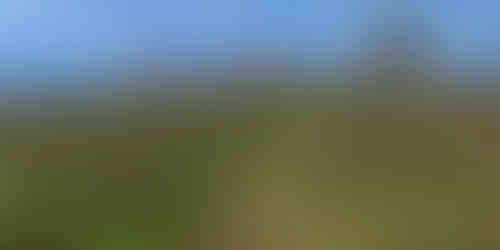 Dacapo vineyards Piemonte