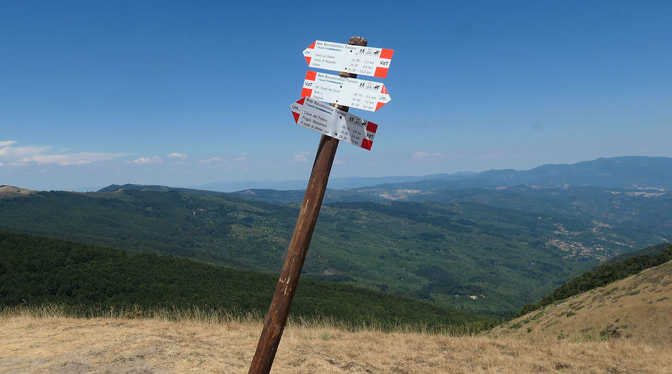 The view from la Croce di Pratomagno
