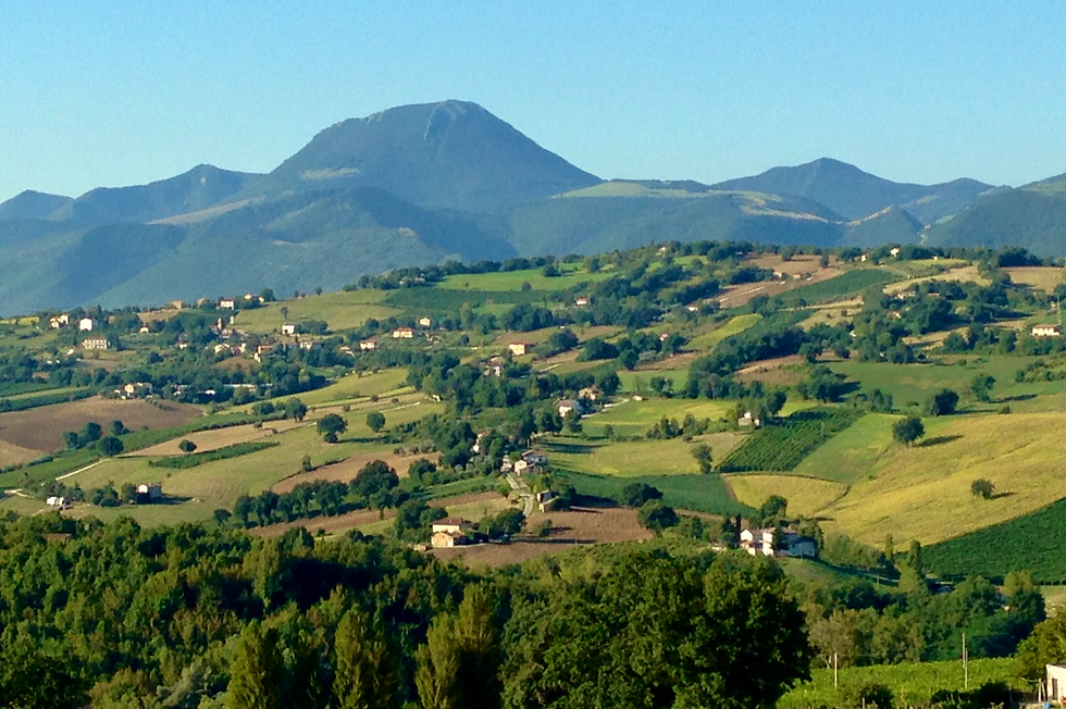 Cupramontana countryside in le Marche, Italy