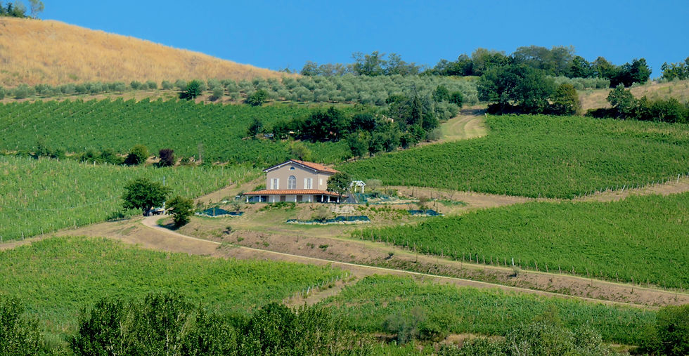 Poggio della Dogana winery in Terra del Sole
