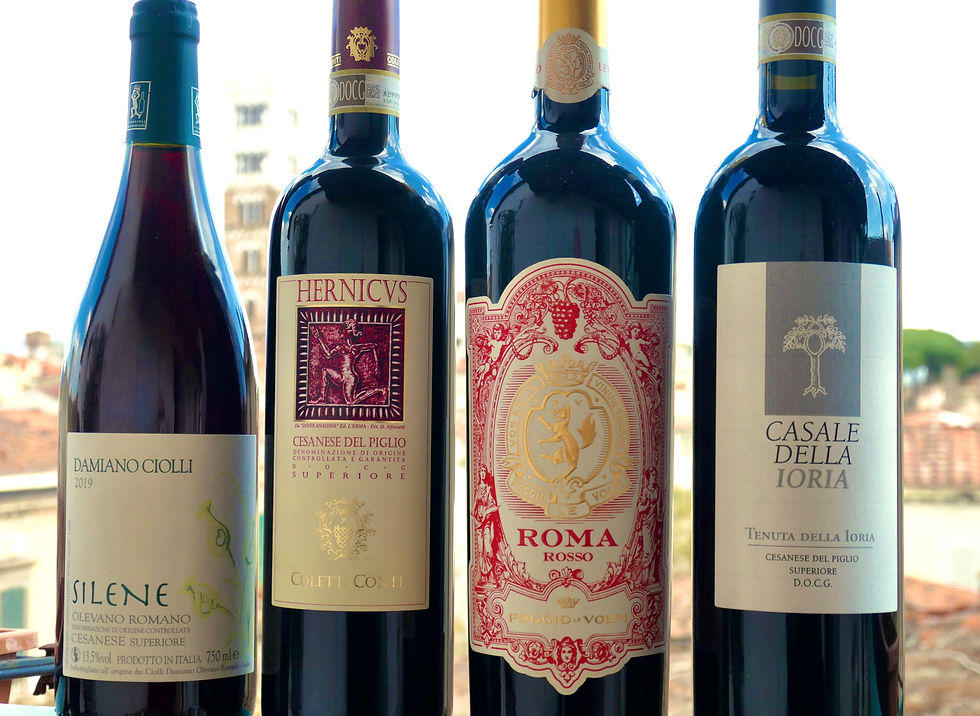 bottles of Damiano Ciolli Silene, Coletti Conti Hernicus, Poggio Le Volpi Roma Rosso and Casale della Ioria