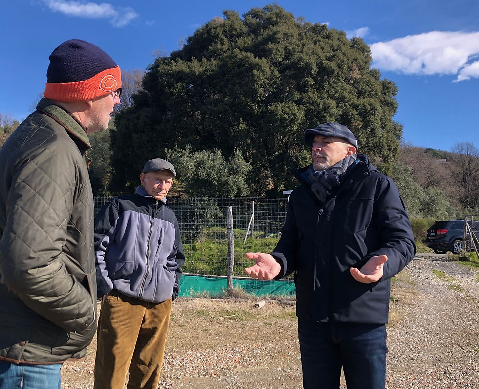 Ottaviano and Fabio Lambruschi in their vineyard