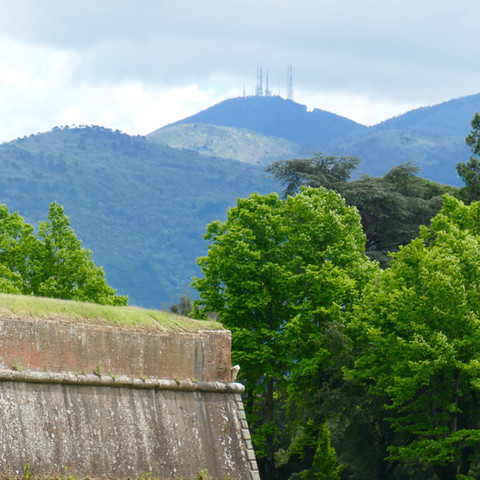 the view of Monte Serra from Lucca