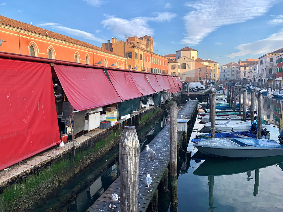 The fish market and Canal Vena in Chioggia