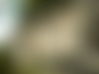 Abruzzo History & Nature Tour and much more besides