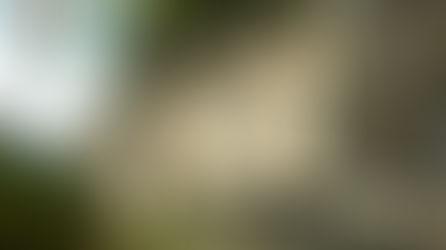 Abruzzo History & Nature Tour and much more besides