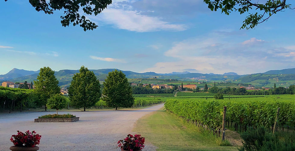 The view from the front door of Domus Cariana in Valpolicella