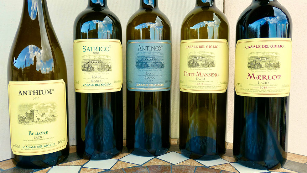 Casale del Giglio bottles of Satrico, Antinoo, Anthium, Petit Manseng and Merlot