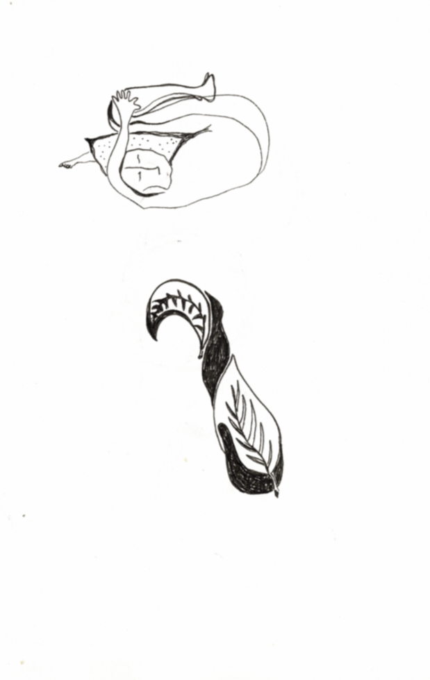 IMG_2819.PNG
