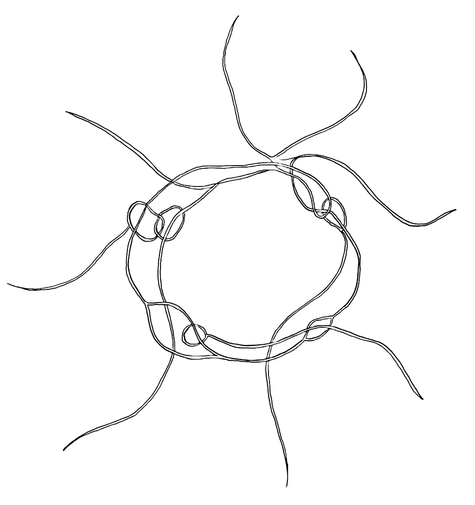file (5).png